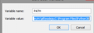 Set Env Path variable in Python